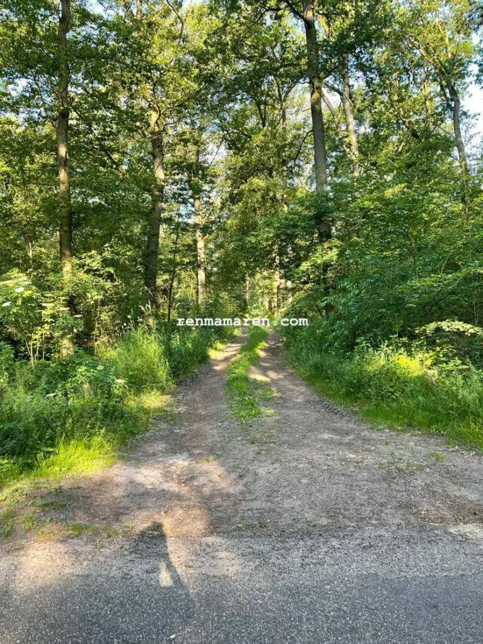 voorbeeld hardloop trail