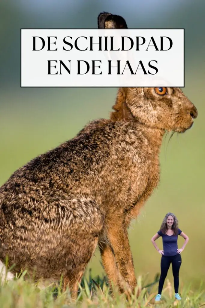 de schildpad en de haas