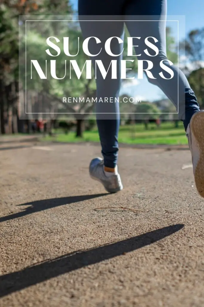 succesnummers